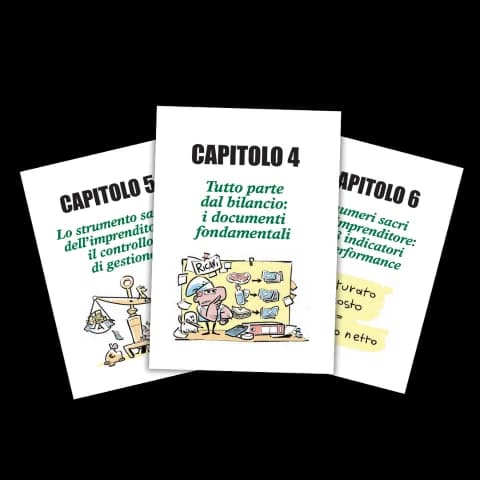 I capitoli del libro I Numeri Comandano sul bilancio