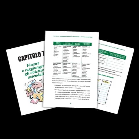 I capitoli del libro I Numeri Comandano sul controllo di gestione
