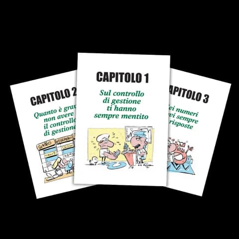 I capitoli del libro I Numeri Comandano su margini, utili e guadagni