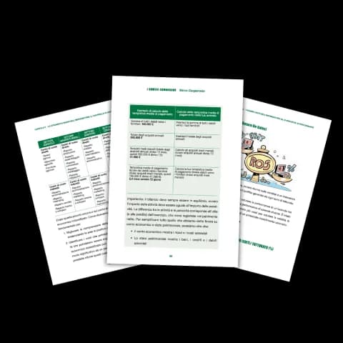 I capitoli del libro I Numeri Comandano su previsioni e obiettivi