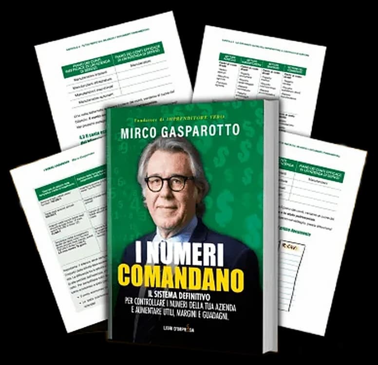 Il libro I Numeri Comandano con i file di controllo di gestione